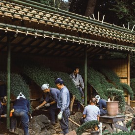 amazing garden design team