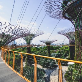 beautiful panoramic garden view