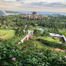 lovely landscape garden